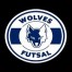 Wolves FC